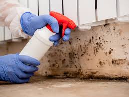 Why You Should Choose Our Mold Remediation Services in Colorado City, CO